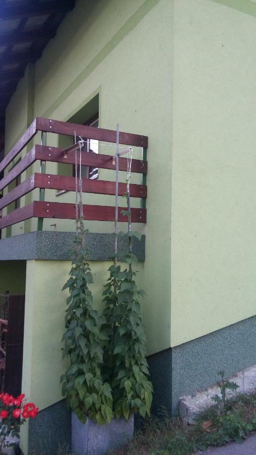 Apartma Juha - Breg pri Borovnici 外观 照片