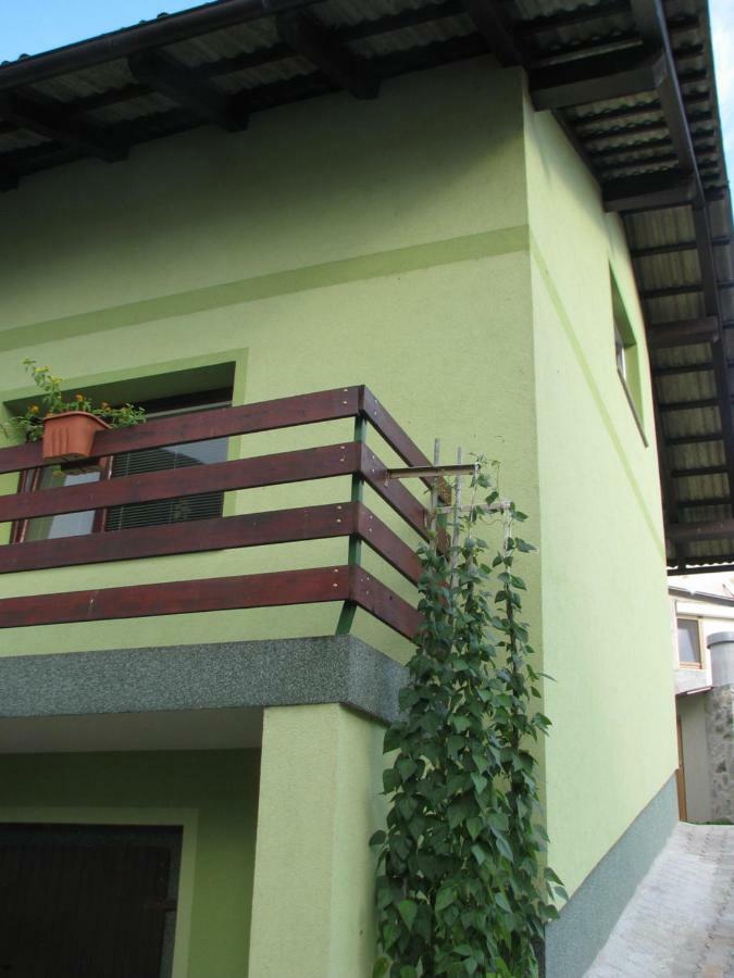 Apartma Juha - Breg pri Borovnici 外观 照片